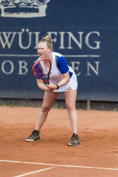 Bild 250 - BL DTV Hannover - BW Dresden Blasewitz : Ergebnis: 2:7